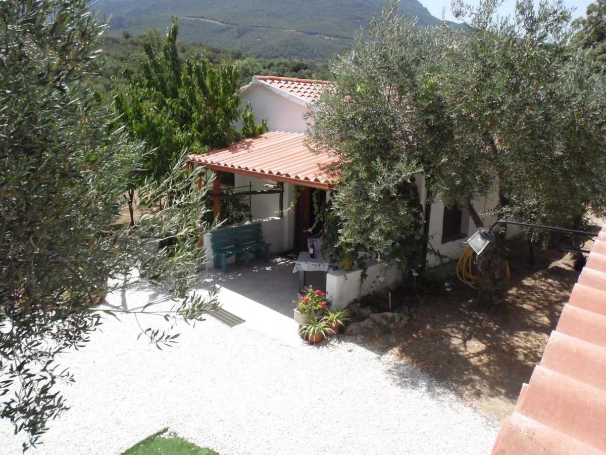 L'oliveto Casa vacanze